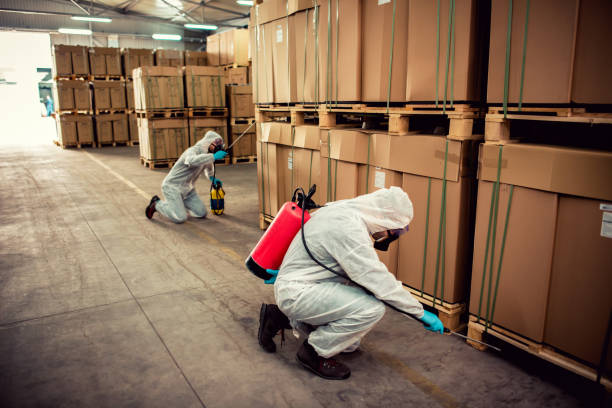 Reliable Grand Island, NE Pest Control Solutions